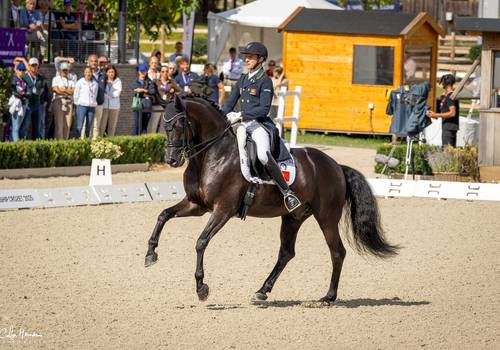 Equestrian de Competition
