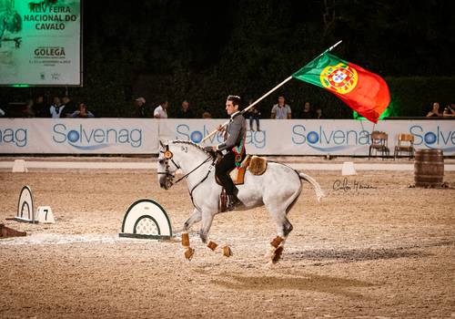 Equestrian de Campeonato da Europa 2019