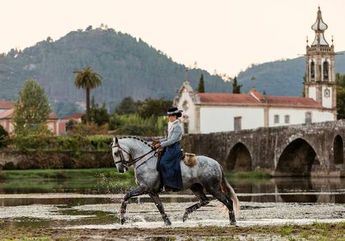 Equestrian de Alma Lusitana