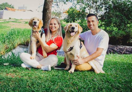 Cães de Kyara e Klarc