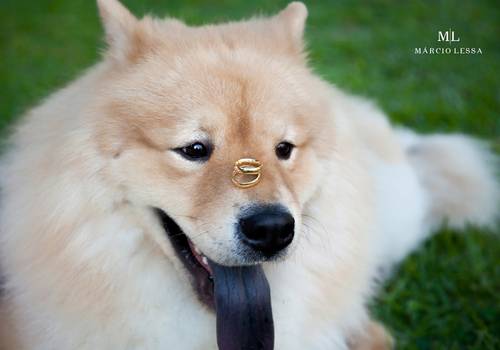 Ensaio Pré-Casamento de Natália e Leonardo