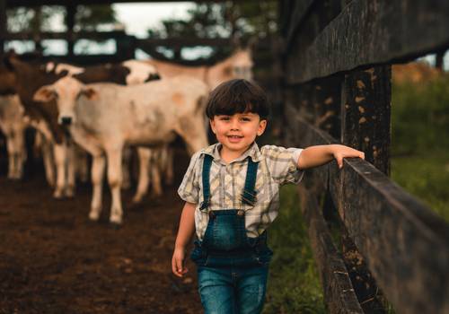 Sessão de Infantil de Efraim