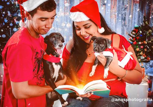 Natal de Ladys curtindo o Natal