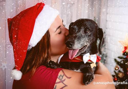 Natal de Com ele tudo é perfeito!