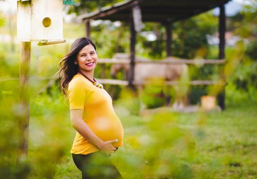 Gestante de Dârmaris (Horto)