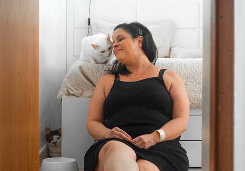 Gatos de Theo e Mei
