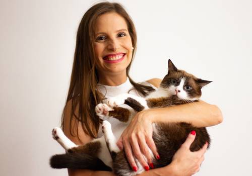 Gatos de Lilika