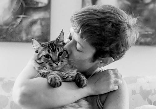 Gatos de Nina e Ziggy
