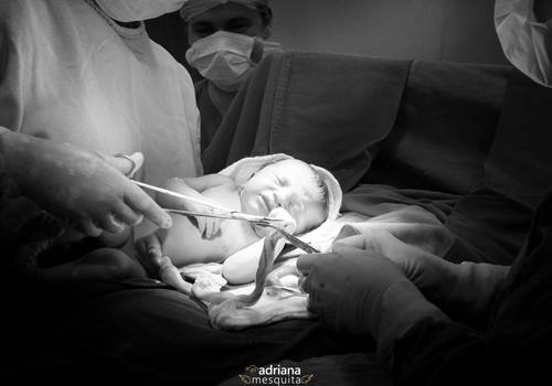 Nascimentos de Theo | Nascimento - Dolfina e Alex