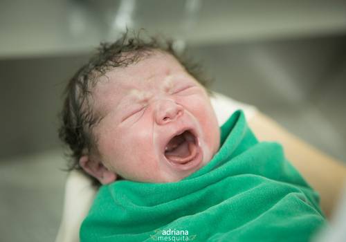 Nascimentos de Maria Luisa | Poliana e José Augusto