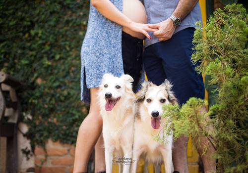 Gestante de Patricia e Rodrigo