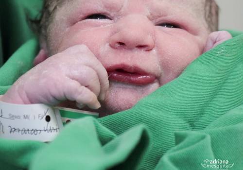 Nascimentos de Ellen e Gustavo - Antonella