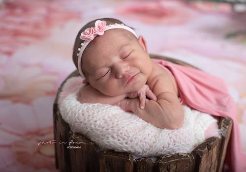 Newborn de Newborn Ayra - 12 Dias