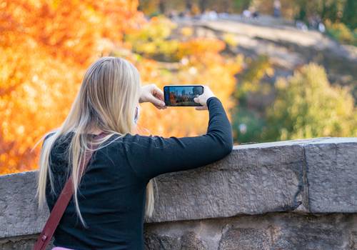 Lifestyle of Central Park in the Fall