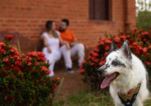 Pré-Wedding de Maíra e Maurício