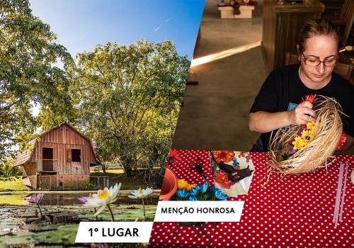 Ganhamos 1º lugar em concurso fotográfico