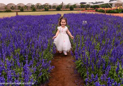 Três anos de AURORA