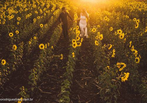 Pré Wedding de CÁSSIA E BRUNO