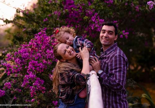 Dois Aninhos de ANA CLARA