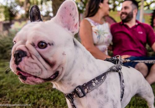 Pré Wedding de Camila e Cristiano