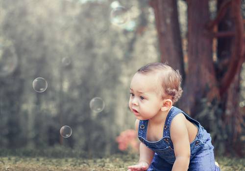 Smash The Cake de Smash e Banho de Leite do Noah