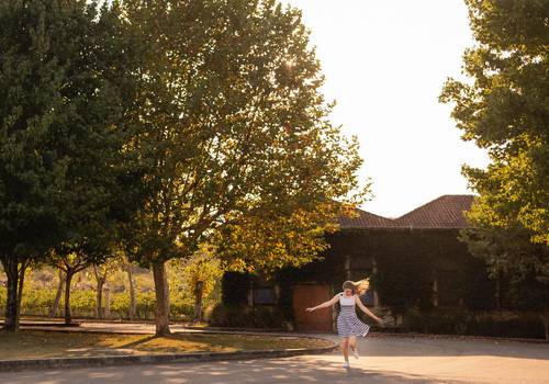 15 anos  de Ensaio Leti 15 