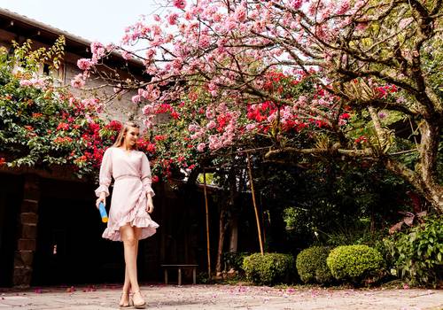 Formaturas de Joice Balestrin