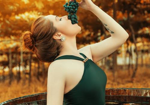 Projeto Aurora Cinabre de Aurora do Verão Priscila Boeira 