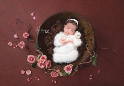 NEWBORN CLÁSSICO de Book Newborn - Rafinha - São Paulo