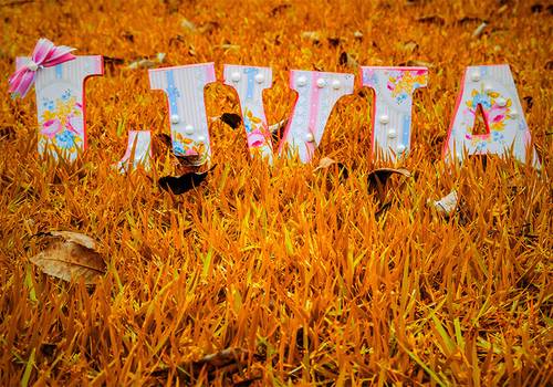 Ensaio em Família de Ensaio Lívia