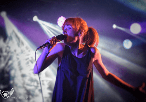 Concertos / Festivais / Discotecas de Festas do Conselho de Belmonte