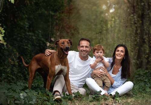 - Retratos de Familia - de Vínculos Eternos