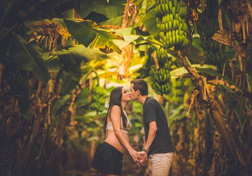 Gestante (Família) de 