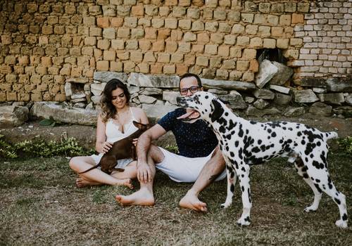 Família de quando a família cresce: um ensaio de gestante feito em casa, com os pets e tudo!