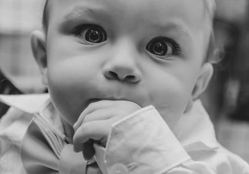 Festa Infantil de Lucca - 1 ano