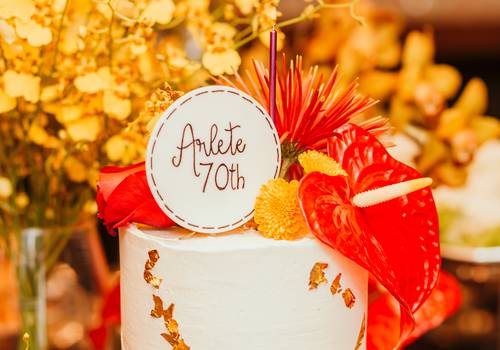 Família de Arlete - 70 anos