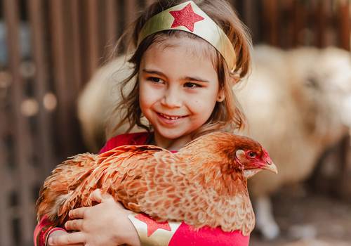 Festa Infantil de Maria - 5 anos
