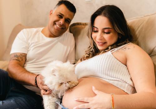 Gestante de Esperando o Theo