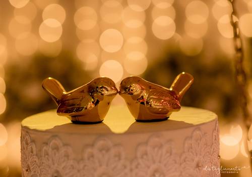 Dicas de como escolher as fotos para o álbum de casamento