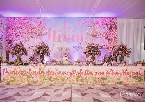 Eventos  de Olivia 01 Aninho Decoração Sonorização e fotos 