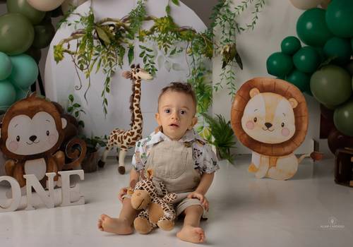 Smash the Cake de Gabriel