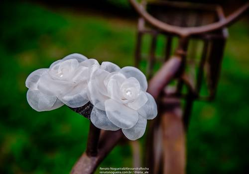 Casamentos de Elizete e Hélio