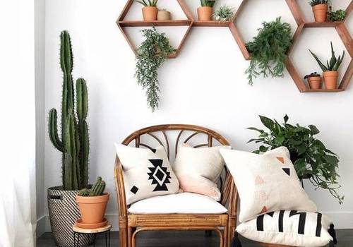 Conheça as melhores plantas para ambientes internos