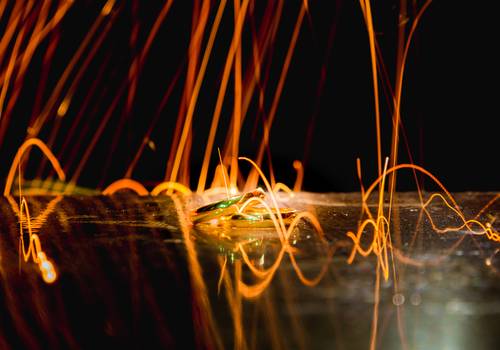 Casamento de Casamento Janice e Giovane