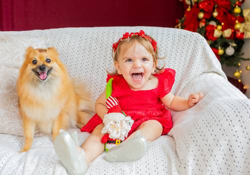 Estúdio de Estúdio de Laura - Regiane - Sérgio - Meg | Natal 2024