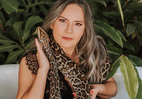 Temáticos e Criativos de Ensaio Serpente 2023