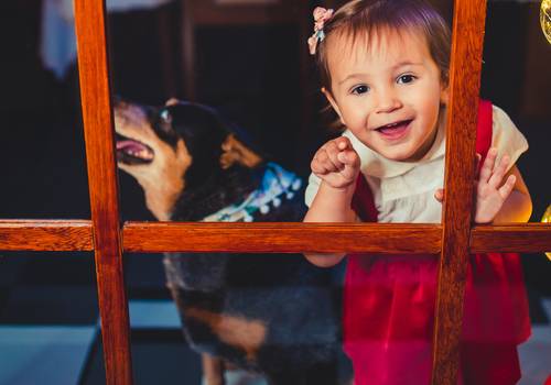 Temáticos e Criativos de Natal 2018