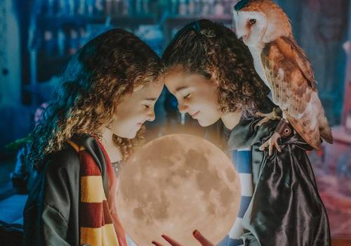 Temáticos e Criativos de Harry Potter 2021