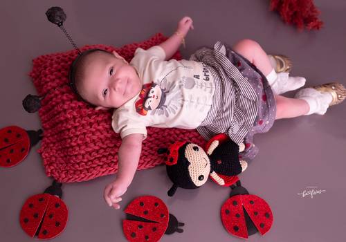 ACOMPANHAMENTO MENSAL de Sophia - 03 meses