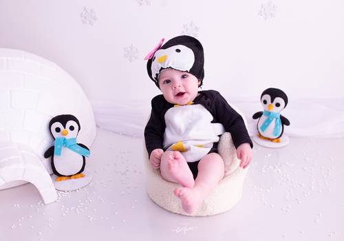 ACOMPANHAMENTO MENSAL de Bethina - 06 meses